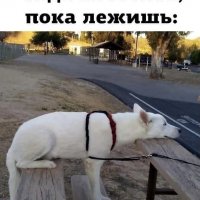 Всё сложно