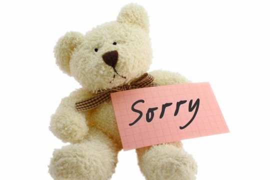 20004486 1205095587 sorrybear