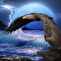 eagle-wallpaper-pics-1024x765