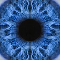 eye