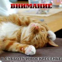 Внимание