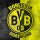 ws Borussia Dortmund 768x1024