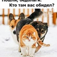 Заступник!