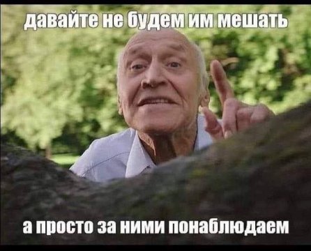 Понаблюдаем