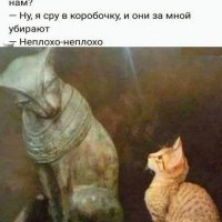 КотЭ)