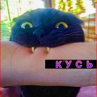 Кусь