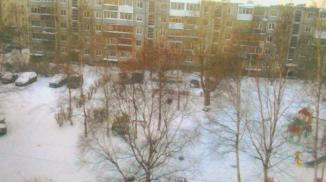 WP 20170121 14 19 13 Cinemagraph