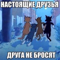 Настоящие друзья