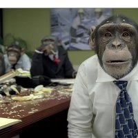 corporate-chimp