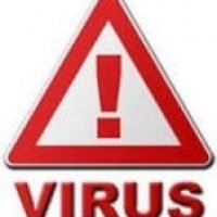 Virus-