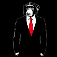 Monkey on Suit