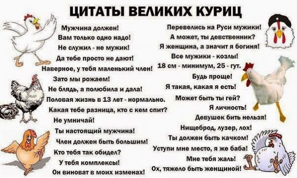 Цитаты великих куриц