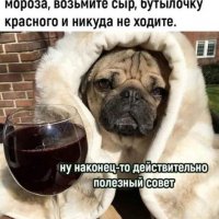 Полезный совет