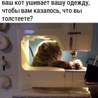 Котя