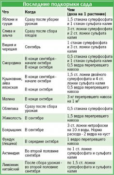 Последние подкормки сада