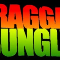 Jungle