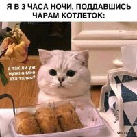 Чары котлеток