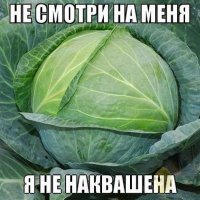 Капуста