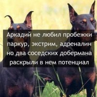 Аркадий не любил пробежек