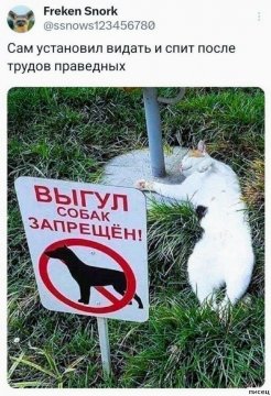 КотЭ)