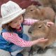 Capybara and kid 1