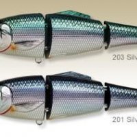 blueback herring color 1