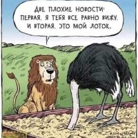 Новости