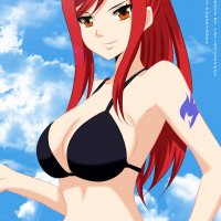 fairy tail erza swimsuit by anderson93-d97do0s