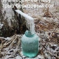 Березовый сок