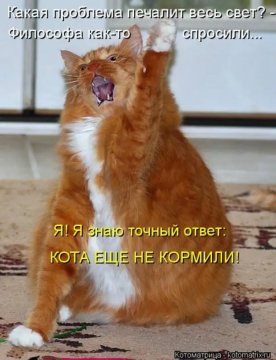 Кота еще не кормили!