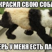 Сосед приколист