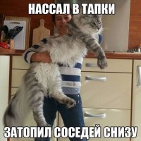 ГИГАНТ