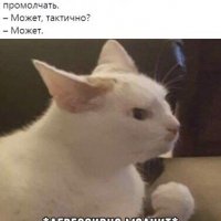 КотЭ)