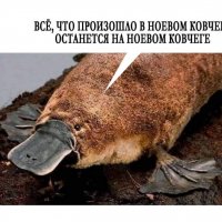 ВСЕ,ЧТО ПРОИЗОШЛО В НОЕВОМ КОВЧЕГЕ...