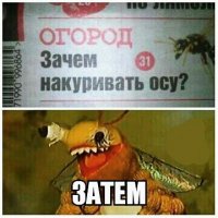 приколы 003536