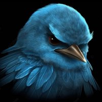 Pngtree-picture-of-a-blue-bird-on-a-black-background-image