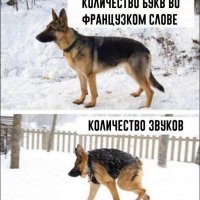 Французский