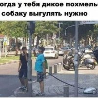 Дикое похмелье