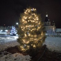 03. Десногорск! 3 Ёлочка на кольце! 31.12.2023