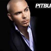 Pitbull