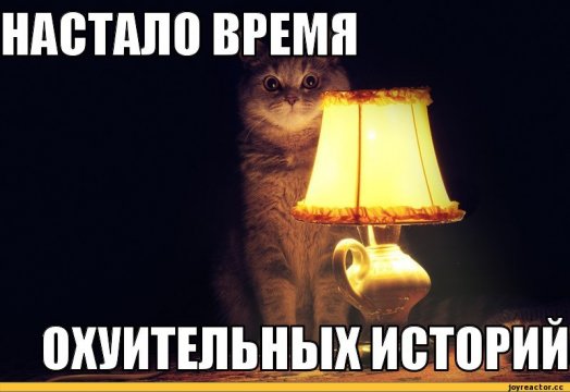 котэ-песочница-149488