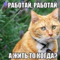 КотЭ)