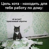 КотЭ)