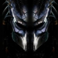 Predator-avatars.alphacoders.com