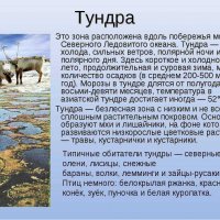 Тундра