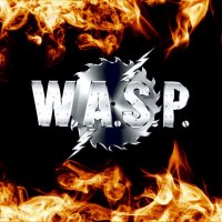 wasp logo hd wallpaper-1920x1080