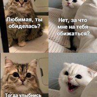 КотЭ)