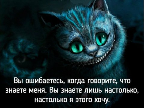 Чеширский, не о котах...