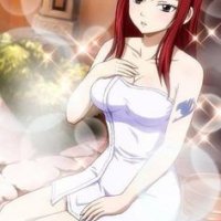 deb81b034610d757770671395830--female-characters-erza-scar