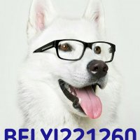 BELYI221260